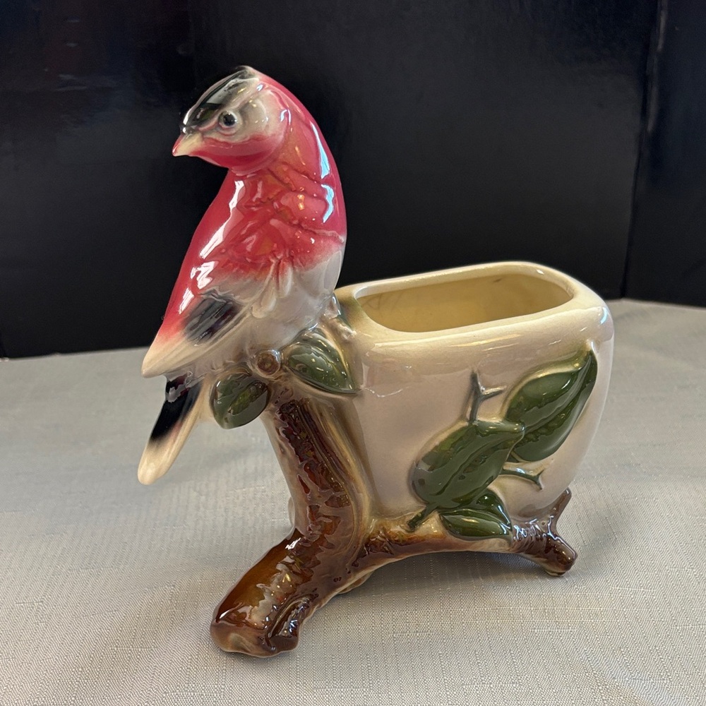 Royal Copley Finch on Tree Planter